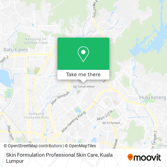 Skin Formulation Professional Skin Care map