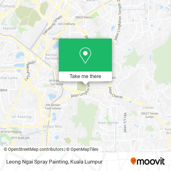 Peta Leong Ngai Spray Painting