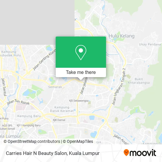 Carries Hair N Beauty Salon map