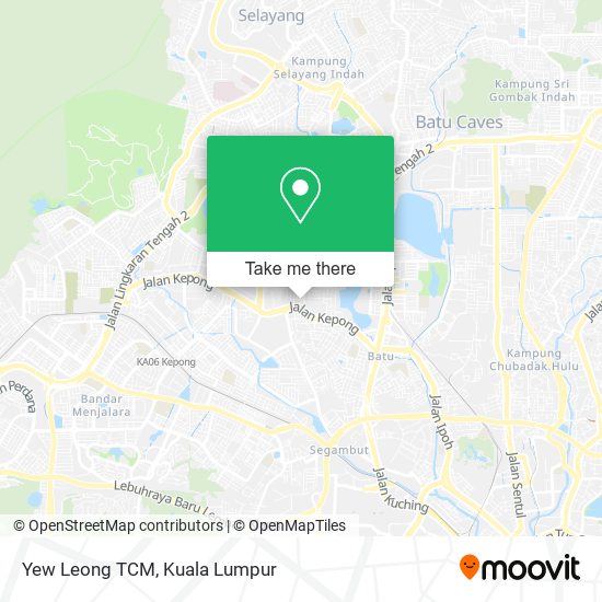 Yew Leong TCM map