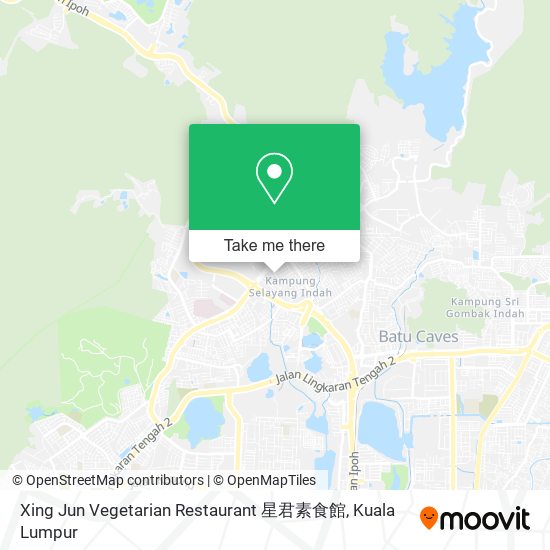 Peta Xing Jun Vegetarian Restaurant 星君素食館