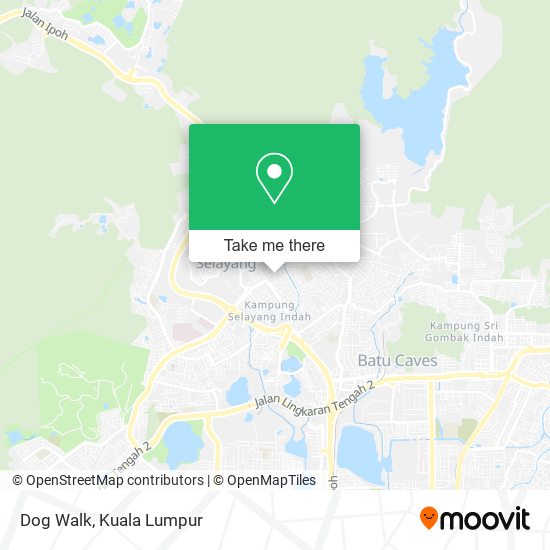 Dog Walk map
