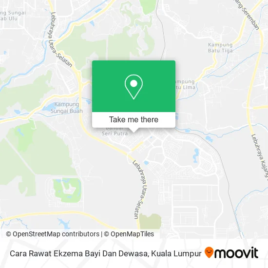 Cara Rawat Ekzema Bayi Dan Dewasa map