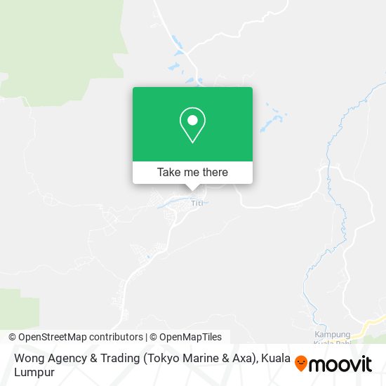 Peta Wong Agency & Trading (Tokyo Marine & Axa)