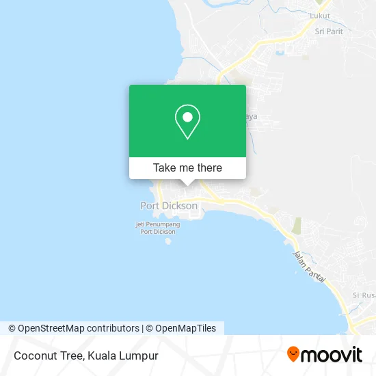 Coconut Tree map