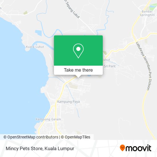 Mincy Pets Store map