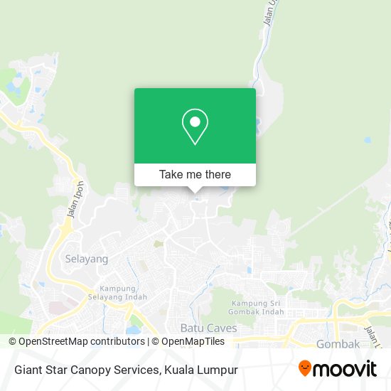 Peta Giant Star Canopy Services