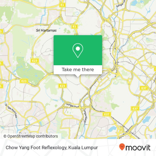 Chow Yang Foot Reflexology map