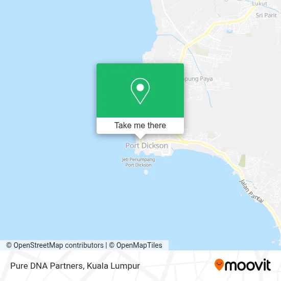Pure DNA Partners map
