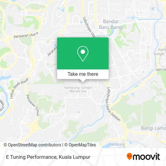 E Tuning Performance map