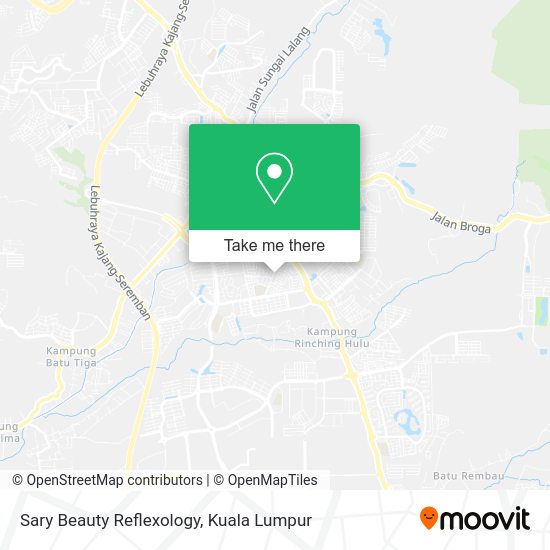 Sary Beauty Reflexology map