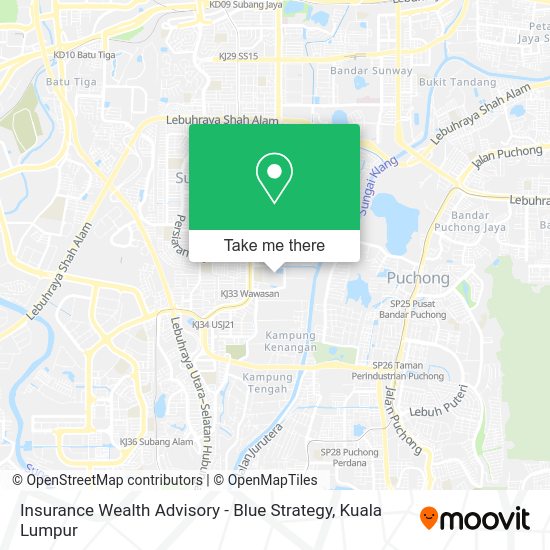 Insurance Wealth Advisory - Blue Strategy map