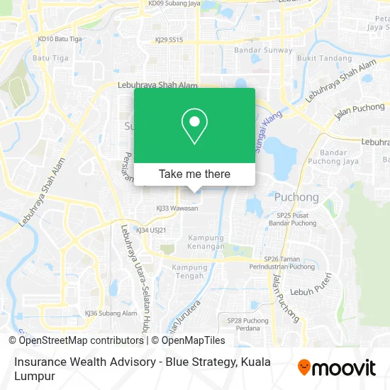 Insurance Wealth Advisory - Blue Strategy map