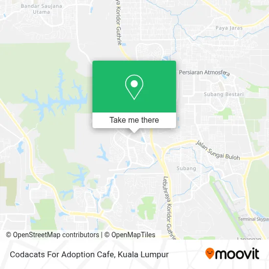 Codacats For Adoption Cafe map