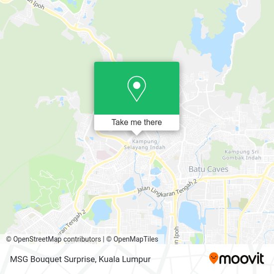 MSG Bouquet Surprise map