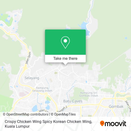 Peta Crispy Chicken Wing Spicy Korean Chicken Wing