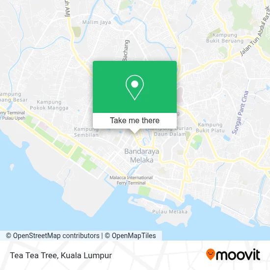 Tea Tea Tree map