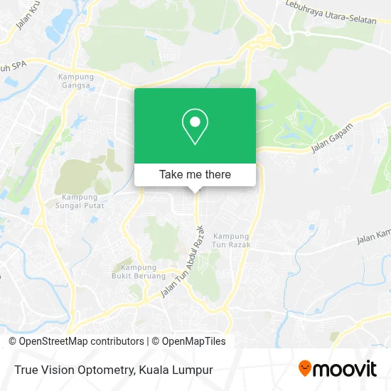 True Vision Optometry map