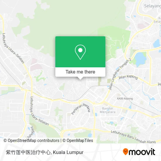 紫竹莲中医治疗中心 map