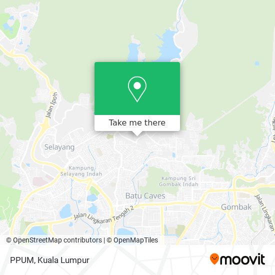 PPUM map