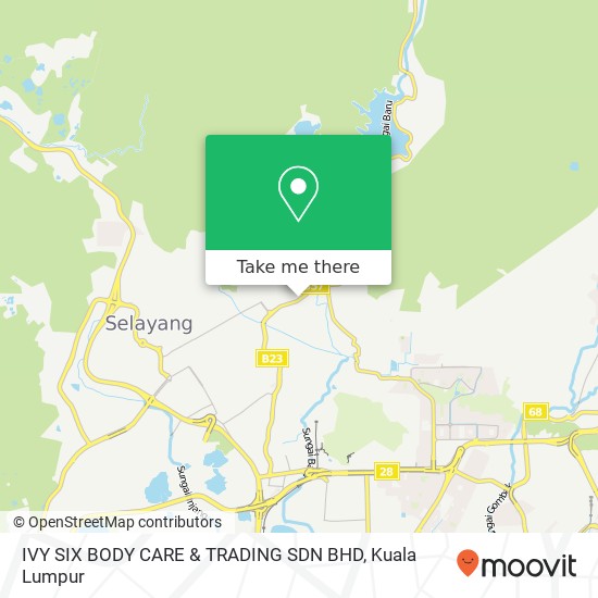 IVY SIX BODY CARE & TRADING SDN BHD map
