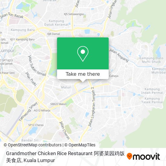 Peta Grandmother Chicken Rice Restaurant 阿婆菜园鸡饭美食店