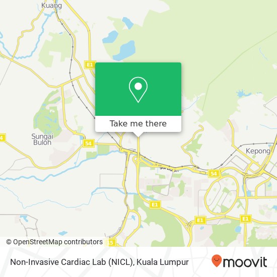 Non-Invasive Cardiac Lab (NICL) map