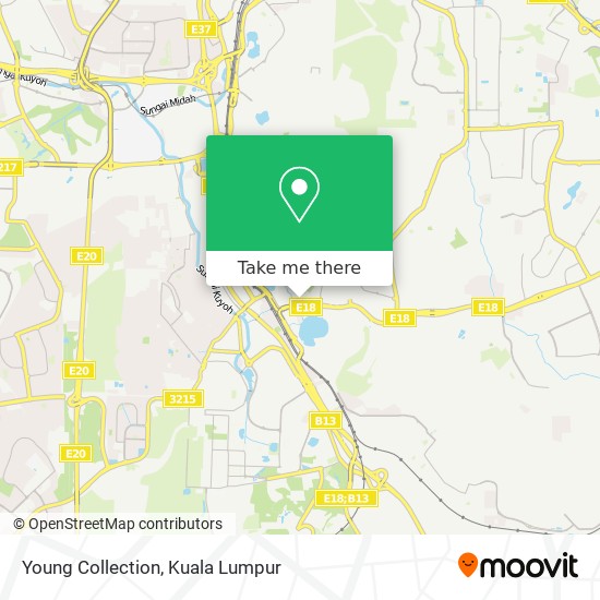 Young Collection map