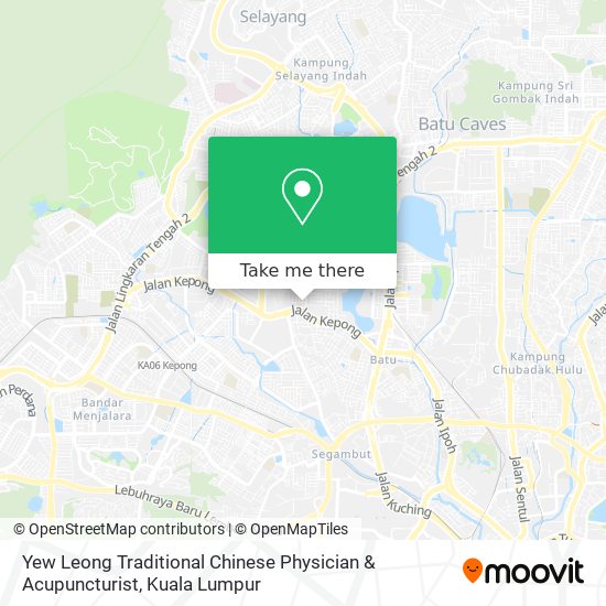 Yew Leong Traditional Chinese Physician & Acupuncturist map