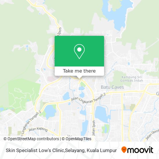 Skin Specialist Low's Clinic,Selayang map