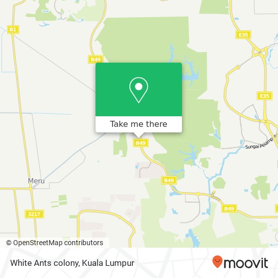 White Ants colony map