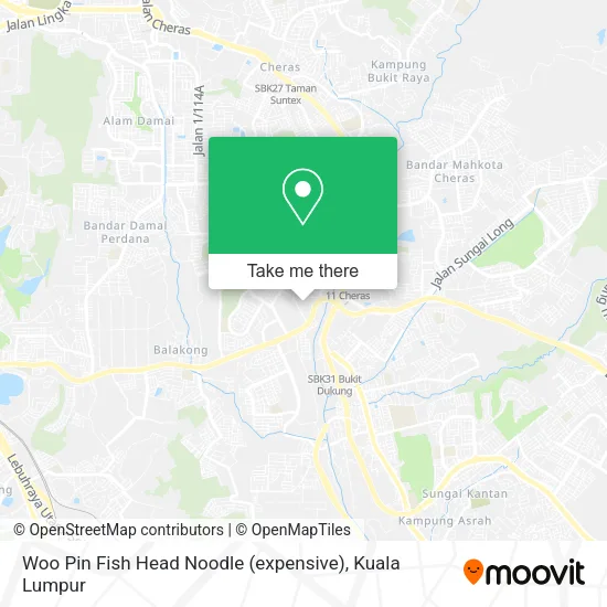 Peta Woo Pin Fish Head Noodle (expensive)