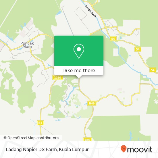 Ladang Napier DS Farm map