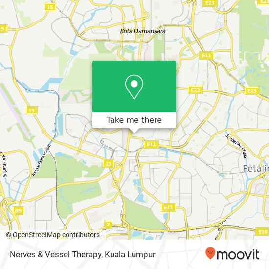 Nerves & Vessel Therapy map