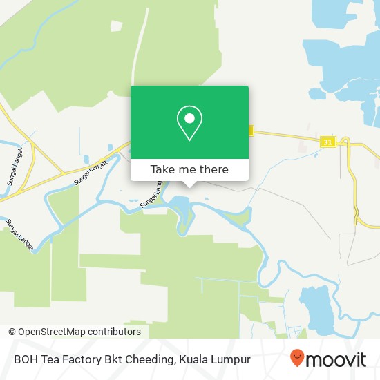 BOH Tea Factory Bkt Cheeding map