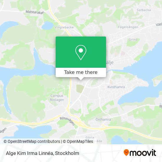 Alge Kim Irma Linnéa map