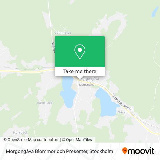 Morgongåva Blommor och Presenter map