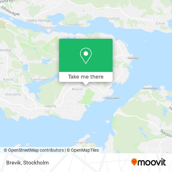 Brevik map