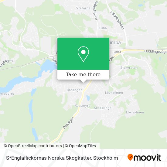 S*Englaflickornas Norska Skogkatter map