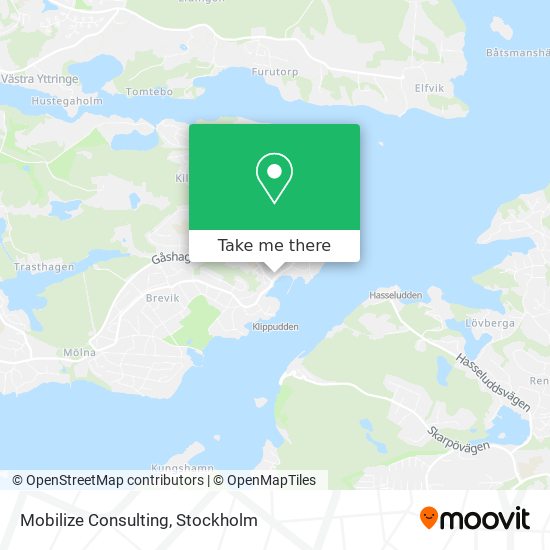 Mobilize Consulting map