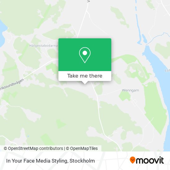 In Your Face Media Styling map