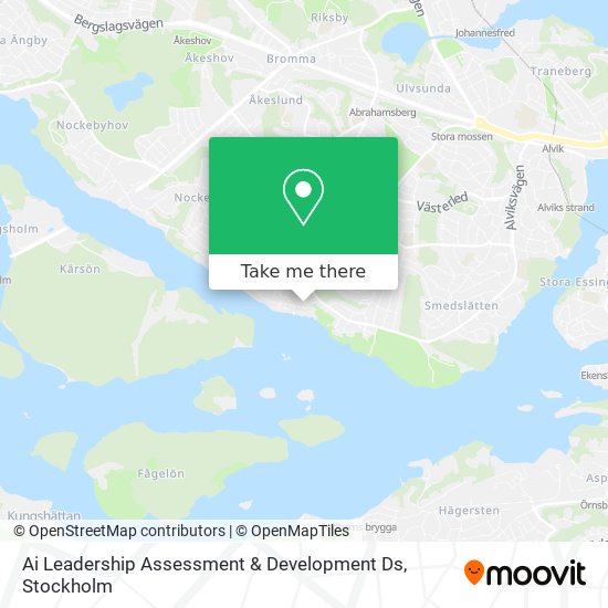 Ai Leadership Assessment & Development Ds map