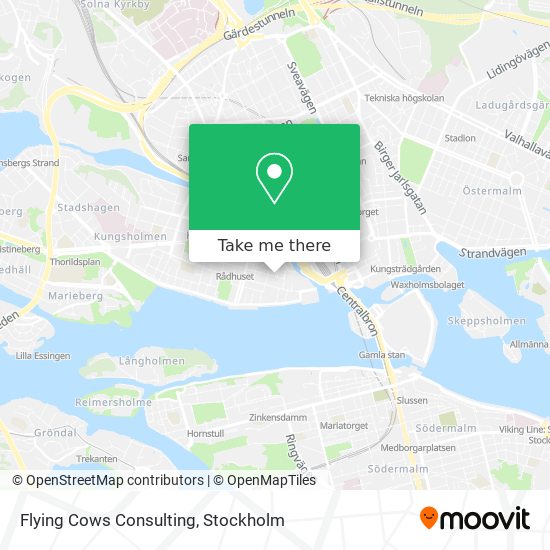 Flying Cows Consulting map