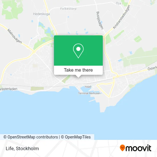 Life map