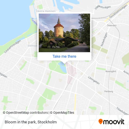 Bloom in the park map