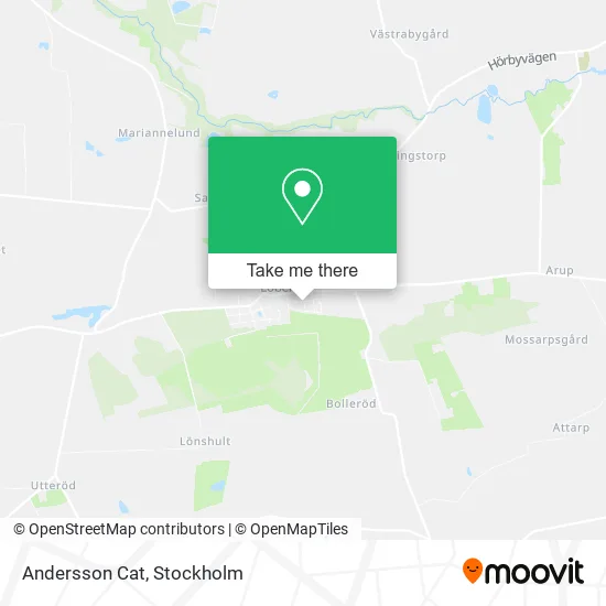 Andersson Cat map