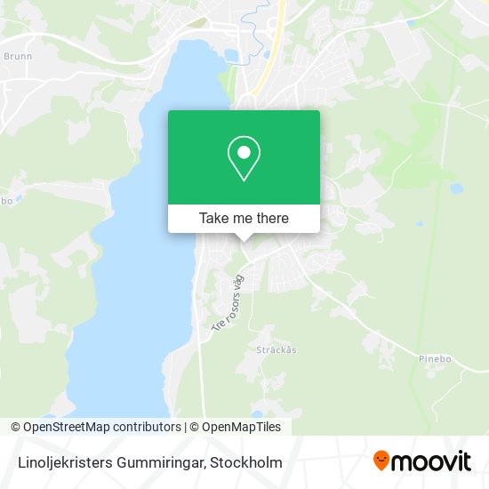 Linoljekristers Gummiringar map