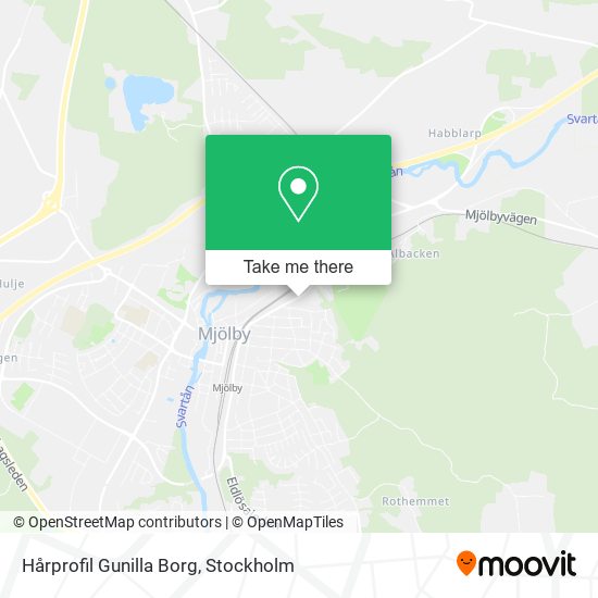 Hårprofil Gunilla Borg map