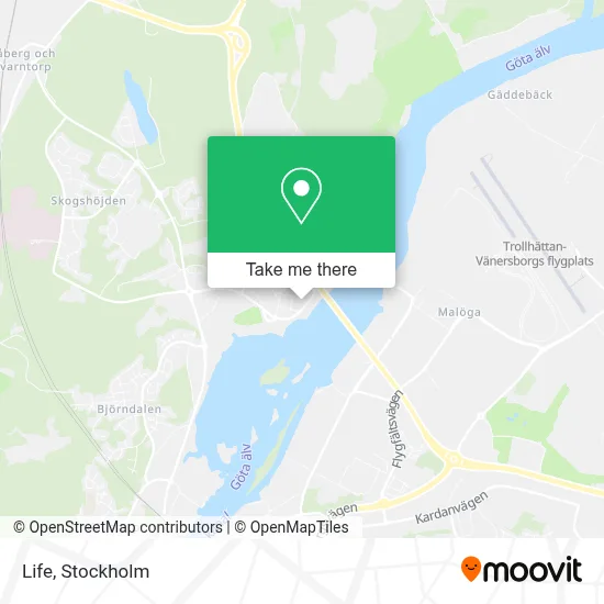 Life map