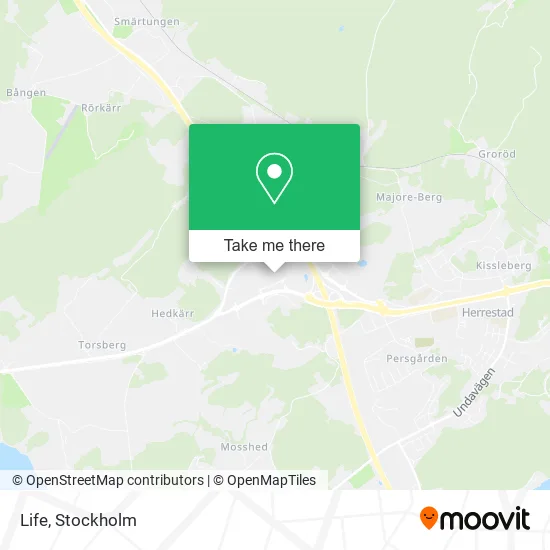 Life map